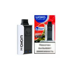 Waka soPro 10000 (малина/арбуз) M